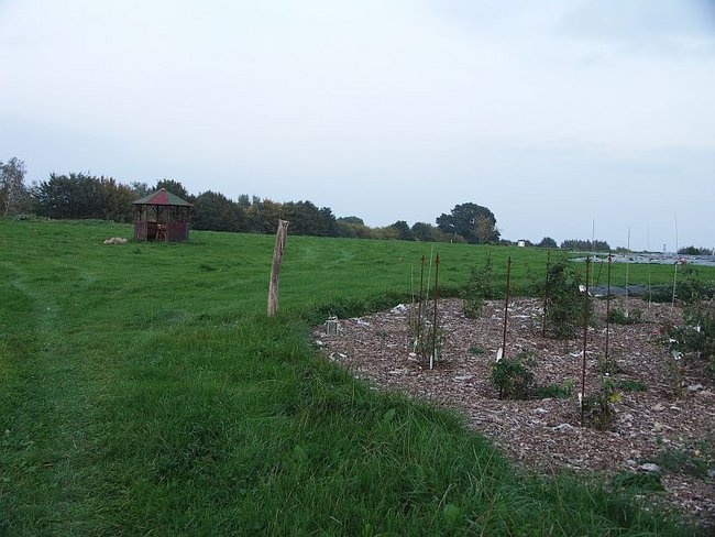 'L'âge bleu Rosenpark'  photo