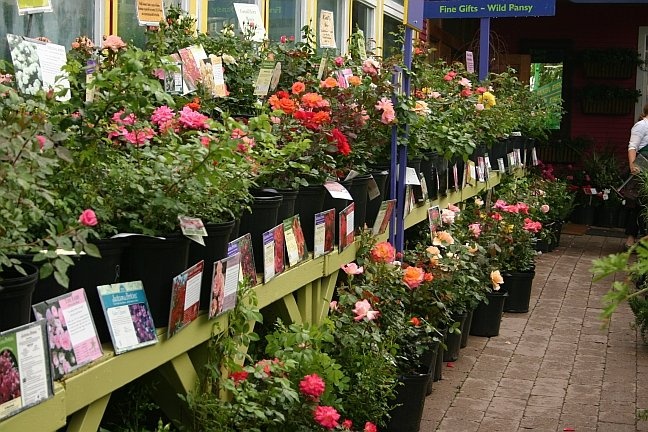 'Gethsemane Garden Center'  photo