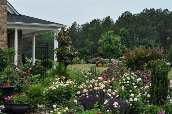 'Marina's Garden. Crawfordville, FL'  photo
