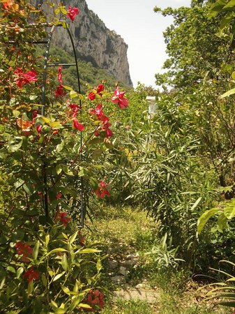 'Margrant Garden'  photo
