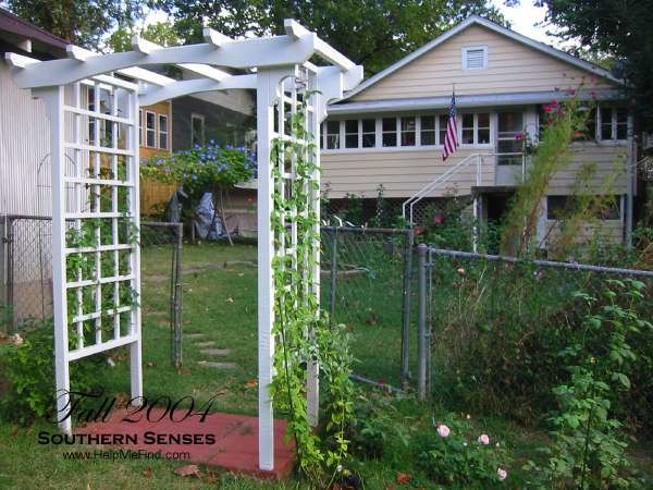 'Southern Senses'  photo