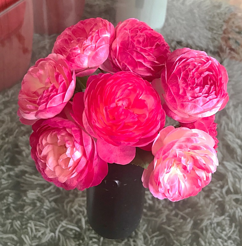 'Yume-akari' rose photo