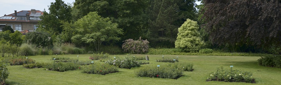 'Westbroekpark'  photo