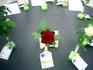 Memphis King ™ rose photo