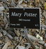 Mary Potter rose photo