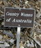 Country Women of Australia rose photo