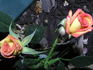 Sunswept ™ rose photo