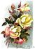 Frau Geheimrat von Boch rose photo