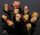 Aubade® rose photo