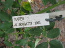 Karen rose photo