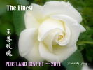 The Finest rose photo