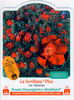 La Sevillana Plus rose photo