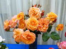China Sunrise rose photo