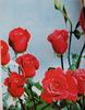 Jamaica rose photo