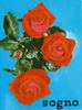Sogno rose photo