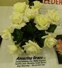 Amazing Grace '07 rose photo