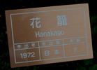 Hanakago rose photo