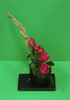 Live Wire ™ rose photo