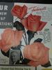 Fashionette rose photo