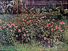 Irish Glory rose photo