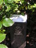 Diamond Border ™ rose photo