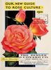 Gaiety rose photo