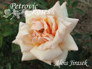 Alois Jirásek rose photo