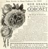 Coronet (hybrid tea, Dingee rose photo