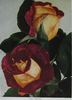 Paul Fromont rose photo