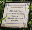Bordurella® rose photo