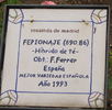 FEpionaje rose photo