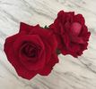 Alleluia ® rose photo