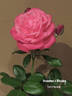 Grandma's Blessing rose photo