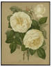Étendard de Jeanne d'Arc rose photo