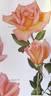 Edith Willkie rose photo