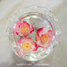 Lipstick 'n' Lace rose photo