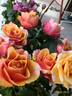 El Paso™ Love Forever® rose photo