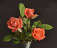 Radiant ™ rose photo