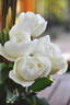White Strawberry Macaroon rose photo