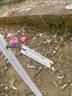 Gladiator rose photo