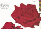 Aztec rose photo