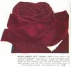 Baden-Baden rose photo