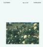 RADclean rose photo