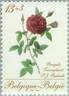 Triomphant rose photo