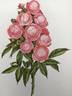 Margo Koster rose photo