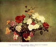 Francis Dubreuil rose photo