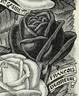Francis Dubreuil rose photo