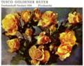 Goldener Reiter rose photo