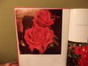 Lady Zia rose photo