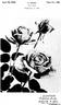 Jewel rose photo